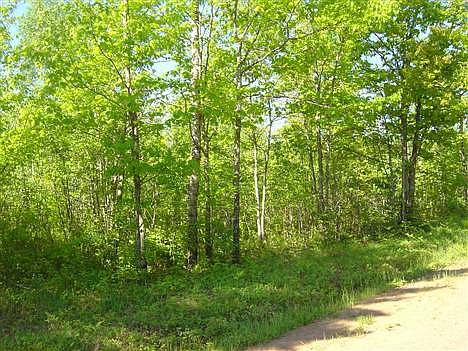 2nd image of Paulson Rd