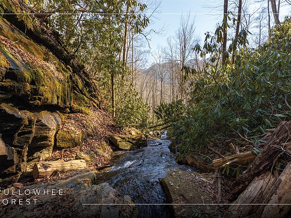 3rd image of 53/65B Cullowhee Forest Road