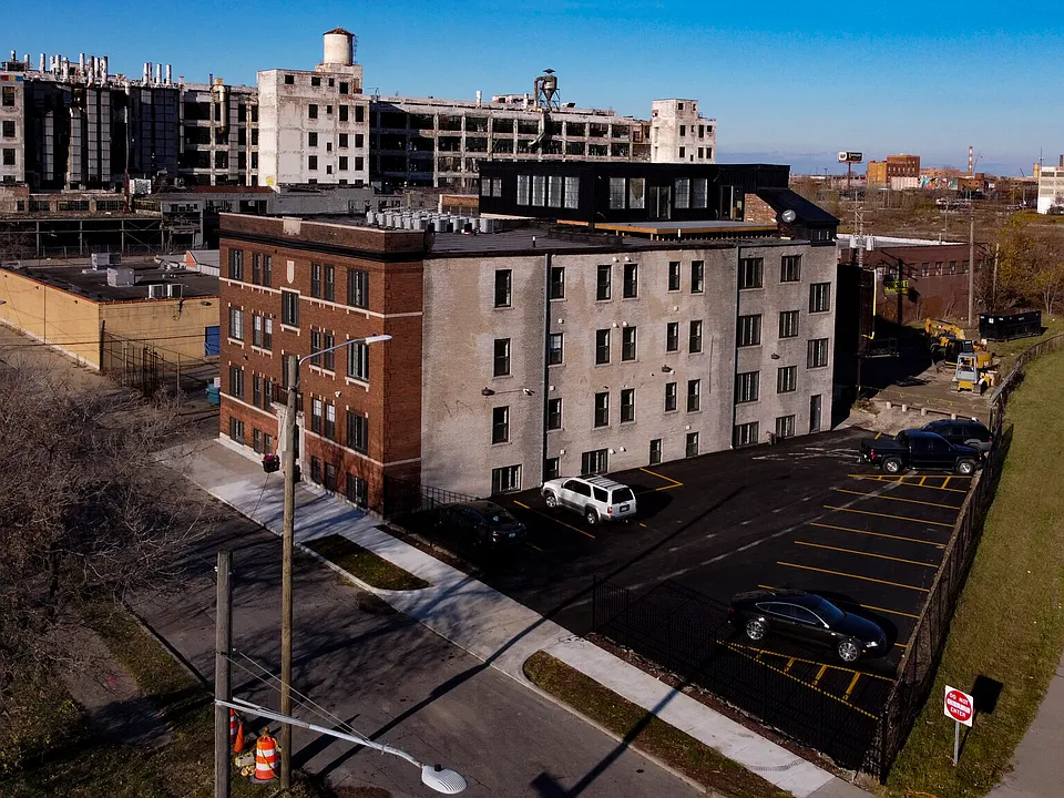 Elaine Lofts