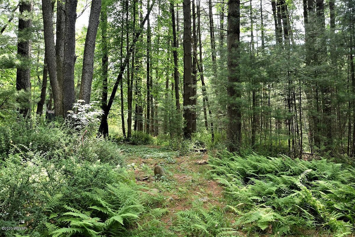 129 Mountain Ave, Cammal, PA 17723 Zillow