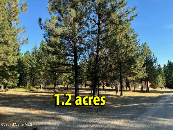 29 S Diamond Heights Rd, Oldtown, ID 83822