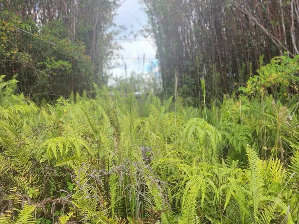 11-1761 Ulei St Lot 11, Mountain View, HI 96771