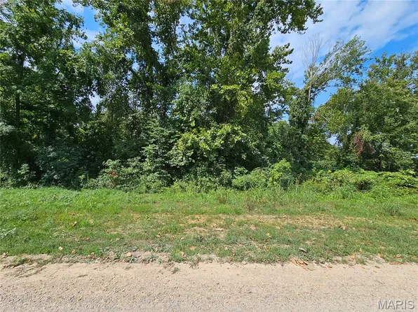 1&2 Extension Deer Run Flt #5, Van Buren, MO 63965