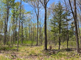 Circle Dr #10ACRES, Brantwood, WI 54513