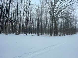 L-320 321 Whispering Pines Dr, Mancelona, MI