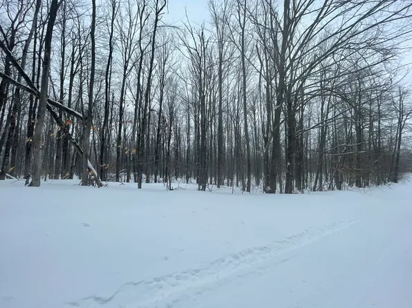 L-320 321 Whispering Pines Dr, Mancelona, MI 49659