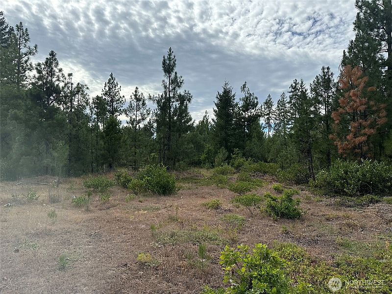2nd image of 5 Greyback Mt Road