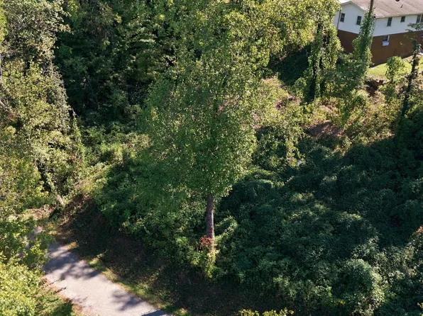 456 Red Oak Dr, Chattanooga, TN 37415
