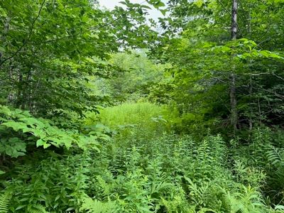 172-172 Grant St LOT 2, Plainfield, MA, 01070