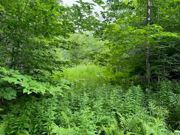 172-172 Grant St Lot 2, Plainfield, MA 01070