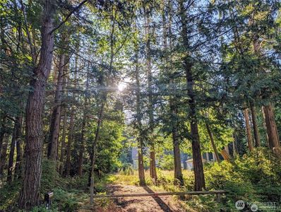 168 Tyee Drive, Point Roberts, WA, 98281