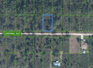 Cardinal Ave LOT 27, Sebring, FL 33870