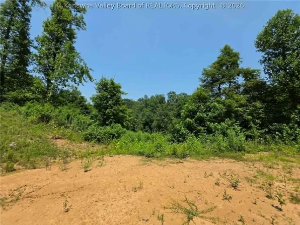4178 Blue Sulphur Rd, Ona, WV 25545