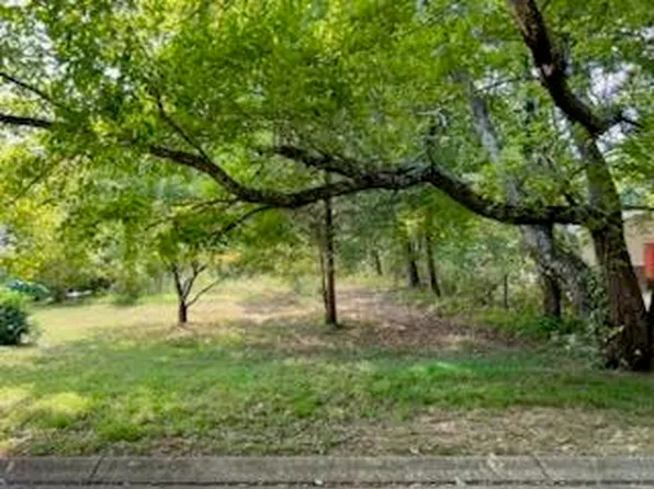 113 Bee Branch Blvd, Signal Mountain, TN 37377
