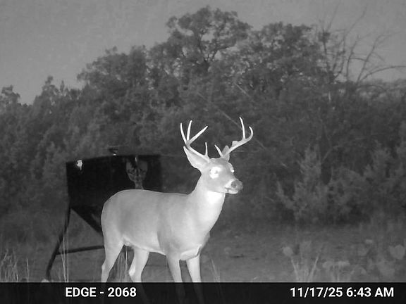 5th image of TBD SD 45730
