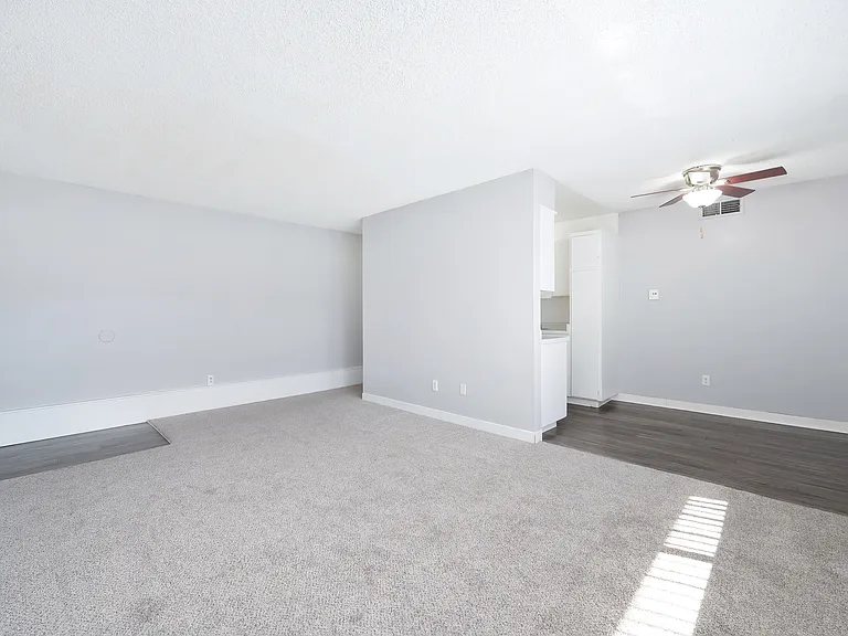 The Canopy | Living Room