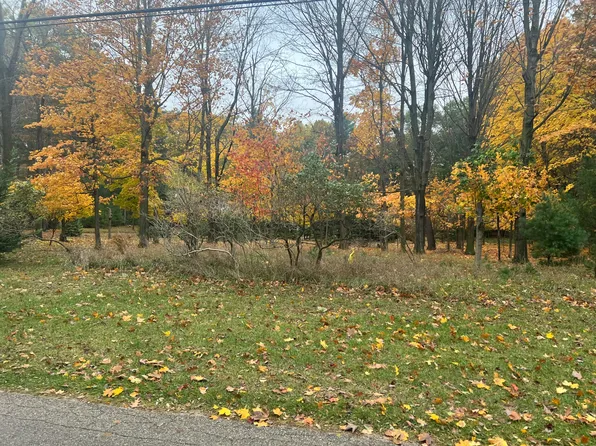 PARCEL Wythe St #A, Pentwater, MI 49449