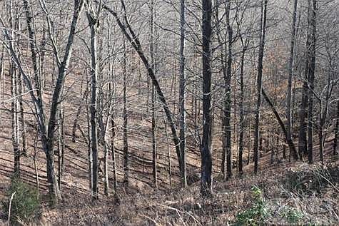 2nd image of 6 Sugar Tree Knob Rd