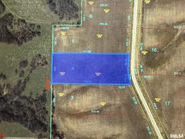 2440 Olof Krans Ave, Galva, IL 61434