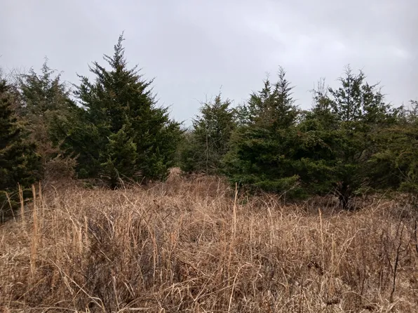 7.50 Acres Easy Lane, Louisburg, MO 65685