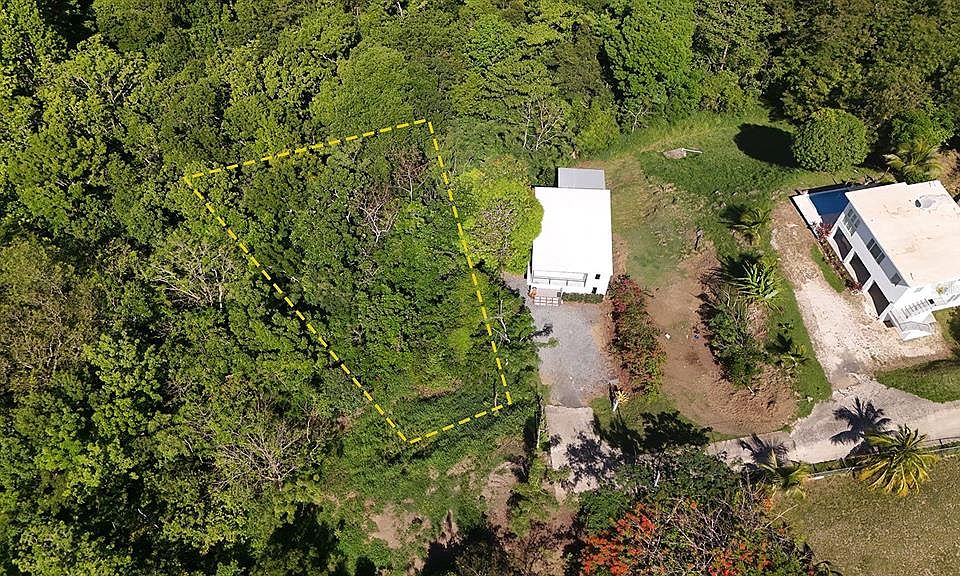 1st image of Hidden Tranquil Lot 413