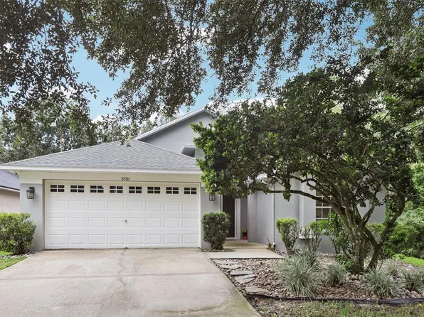 8501 BERCH HALLOW COURT, TAMPA, FL 33647