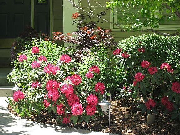 Entry Landscape