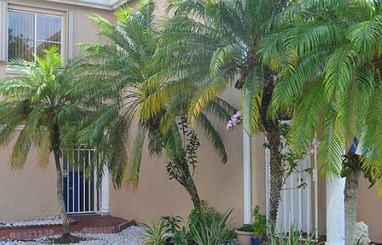 1st image of 12314 NW 11th Ln #908