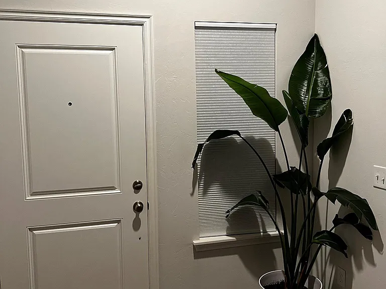 Welcoming entry door with a sidelight window, bringing in natural light and enhancing curb appeal.