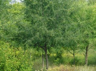 2835X 112th St NW, Zimmerman, MN 55398