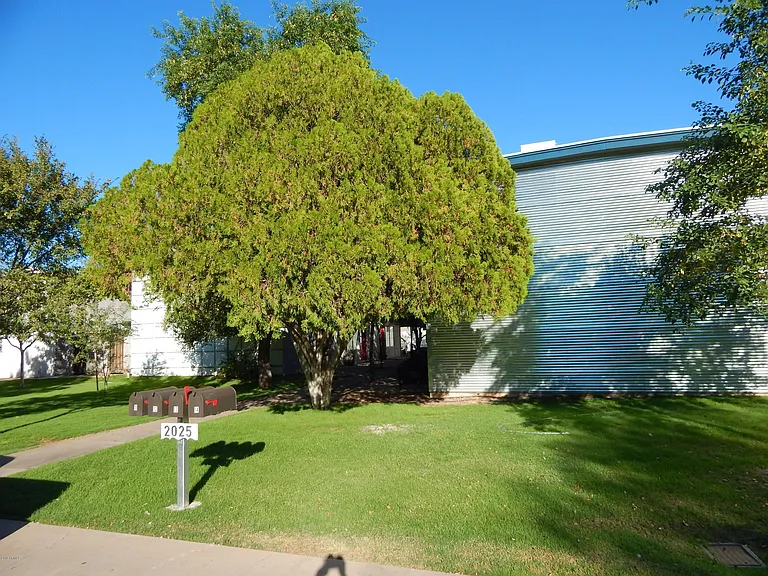 2019 S Granada Dr #7 — Photo 14