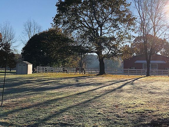 view on neighbors equine 