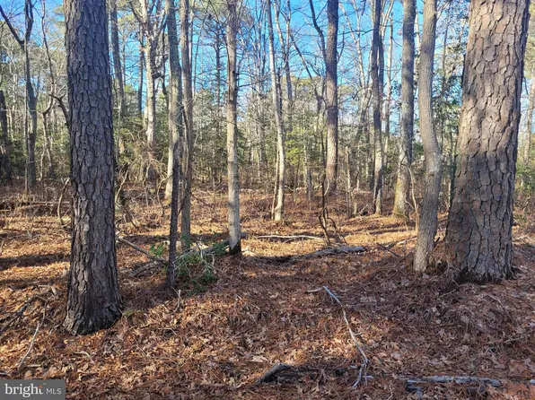 20 Orange Dr, Hague, VA 22469