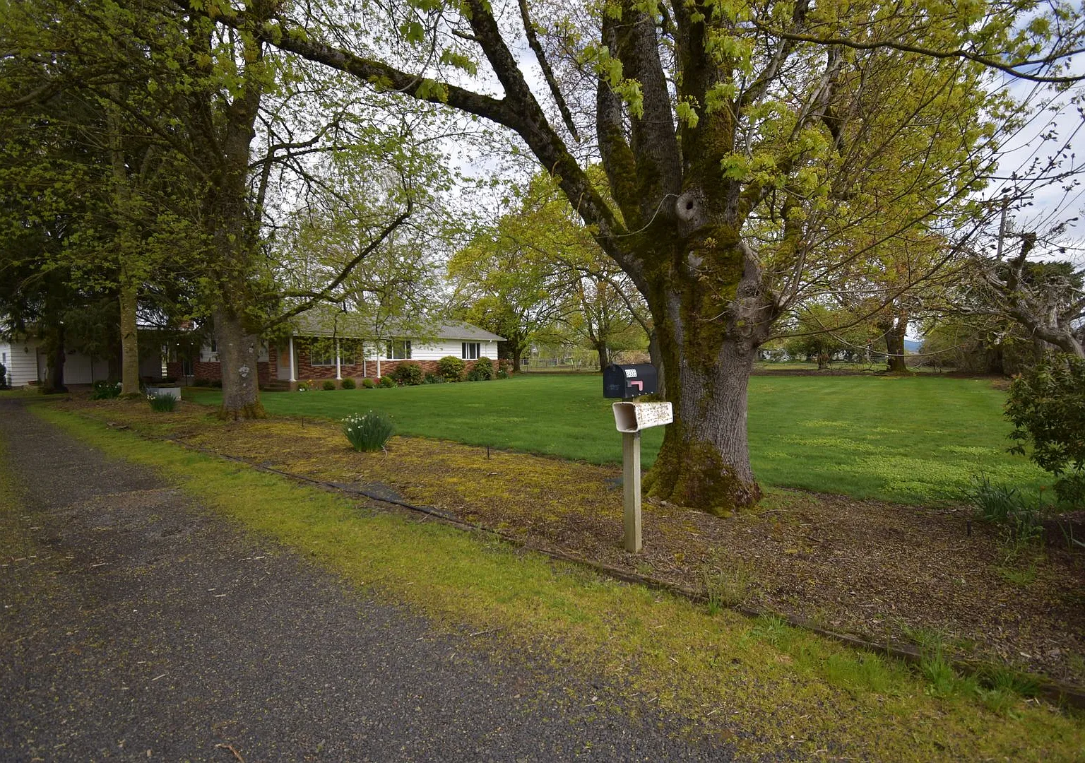 Country Home on Quiet Road Outside of Brownsville! — Photo 2