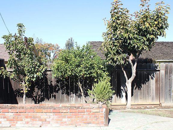 Backyard with Many Fruit Trees
