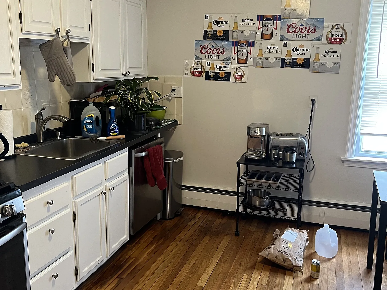 3 bed, 1.0 bath, 875 sqft, $2,800 — Photo 2
