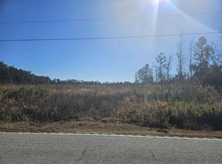 State Highway 541, Olanta, SC 29114