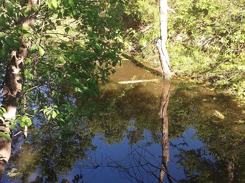 1st image of 905 Stella