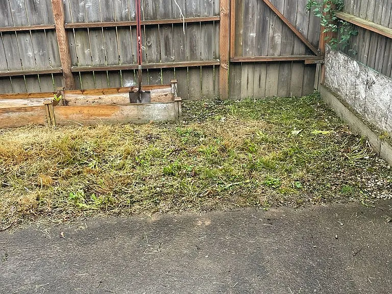 Albany Meadows Apartments — Photo 134