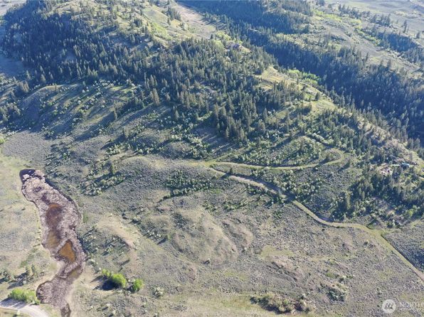 0 TBD Wannacut Lake Rd Lot 7, Oroville, WA 98844