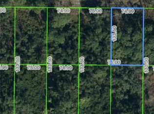 226 Meadowlark Ave, Sebring, FL 33870