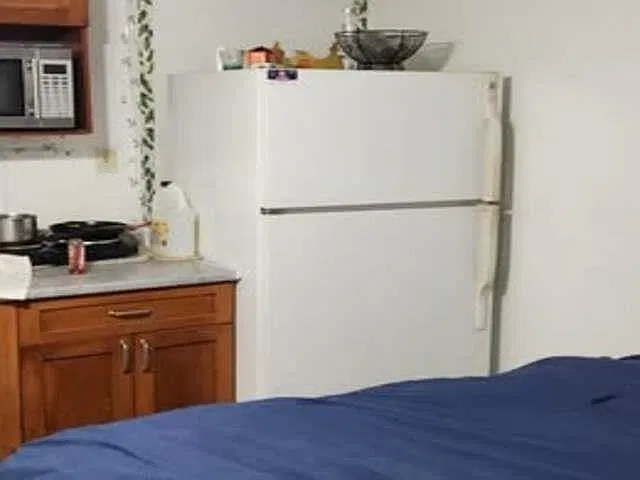 1 bed, 300 sqft, $1,000 — Photo 4