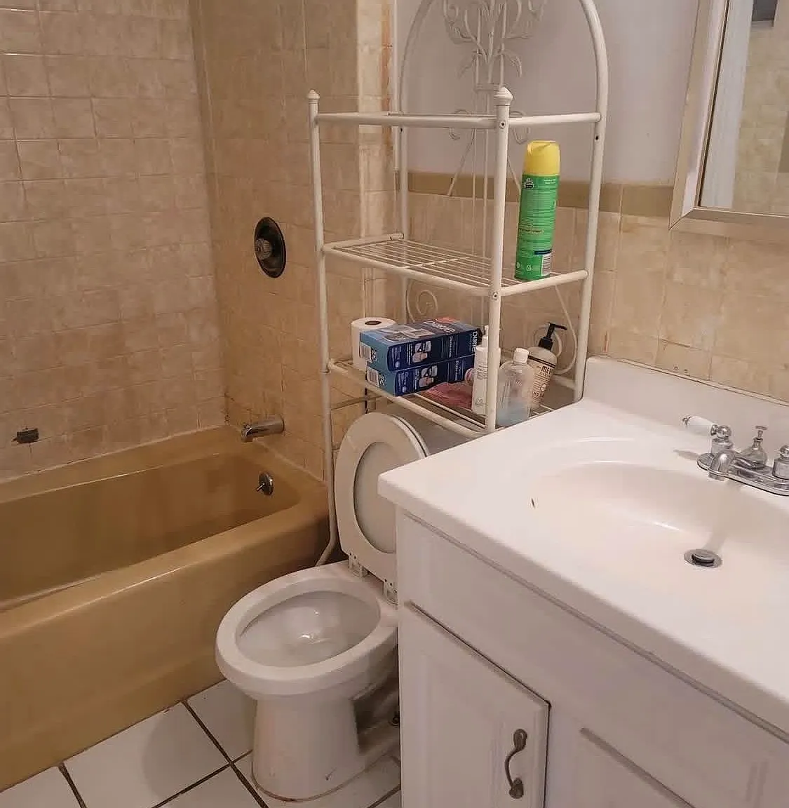 3 bed, 1250 sqft, $2,850 — Photo 3