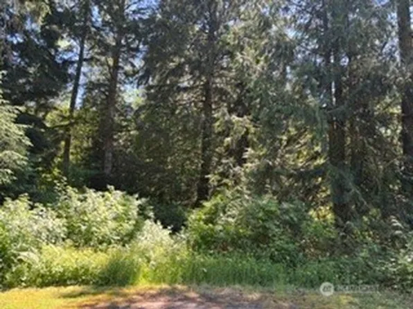 0 441st Avenue SE, North Bend, WA 98045