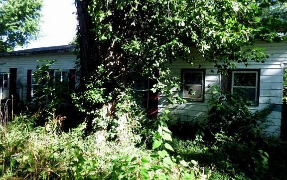 3rd image of 33629 1st St