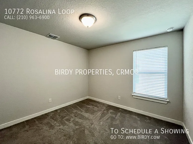 10772 Rosalina Loop — Photo 27