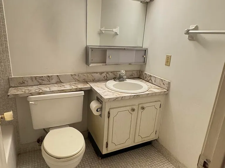 100 Village Green Cir E #314 — Photo 8