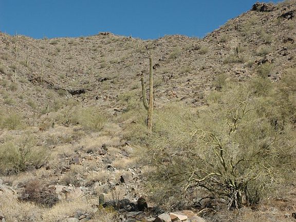 3rd image of 21694 W Mountain Cove Pl