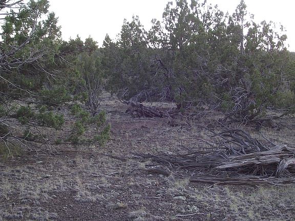 3rd image of 1094 E Antler Ln #535