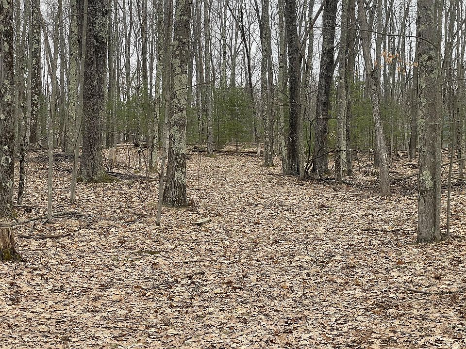 1st image of V/l W Deer Track Trl #4